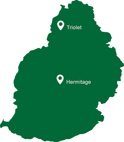 Image Des